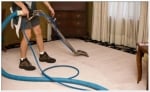 Action Carpet Cleaning