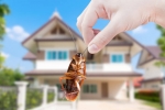 Pest Control Melbourne