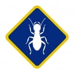 Affordable Termite Control