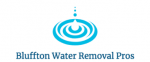 Bluffton Water Removal Pros