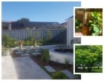 Alessio's Gardens