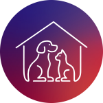 Aliyan Pet Store– Online Pet Supplies in Pakista