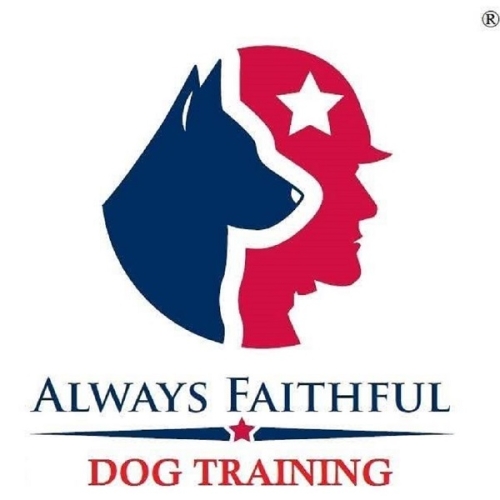 Always Faithful Dog & Puppy Training Boulder CO