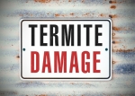 Amelia Island Termite Removal Experts