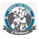 Animal Care Centre of Strathmore