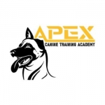 APEX Canine Training Academy - Brantford