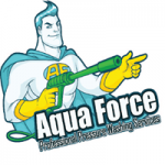 Aqua Force: Professional Pressure Washing Services