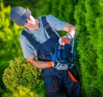 ArboristCairns.com.au