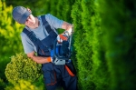 ArboristsDarwin.com.au