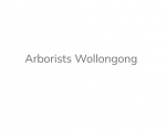 ArboristWollongong.com.au