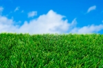Perth Artificial Grass Service
