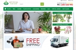 Artificial Plant Shop