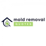 Ashburn Mold Removal Pros