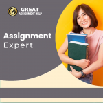 College Assignment Help