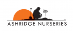 Ashridge Nurseries