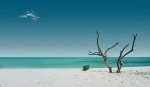 travelnearby.com