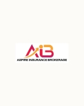 Aspire DOT Services INC
