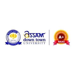 Assam down town University