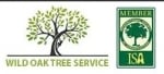 Austin Tree Services