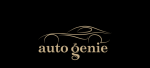 Auto Genie