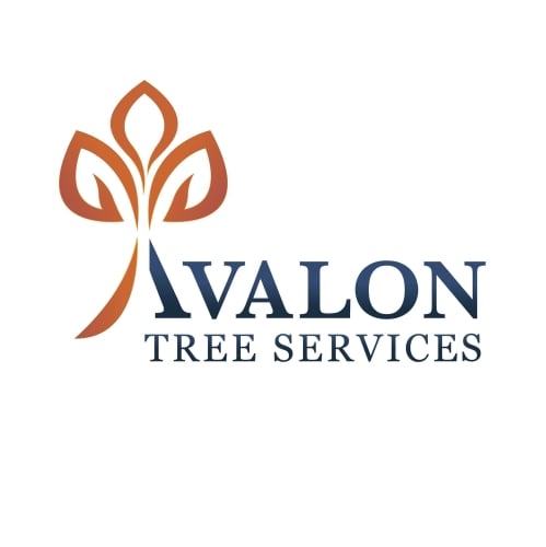 Avalon Tree Services