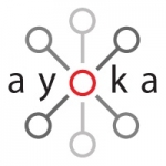 Enterprise Software - Ayoka Systems