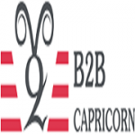 B2B Capricorn
