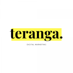 B2B SEO Agency | Teranga Digital Marketing LTD
