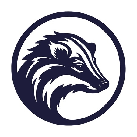 Badger Gutters