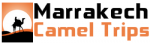 Marrakech camel trips