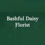 Bashful Daisy Florist