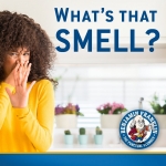 Benjamin Franklin Plumbing of Draper