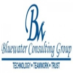 Bluewater Consulting Group