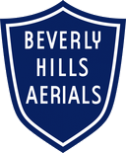 Beverly Hills Aerials