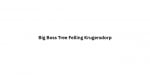 Big Boss Tree Felling Krugersdorp