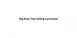 Big Boss Tree Felling Lynnwood
