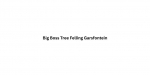 Big Boss Tree Felling Garsfontein