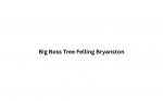 Big Boss Tree Felling Bryanston