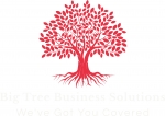 Big Tree Business Solutions LLC