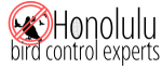 Honolulu Bird Control Experts