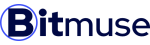 Bitmuse Paginas web y SEO Local