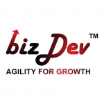 BizDev Worldwide Ads