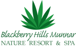 Blackberry Hills Munnar