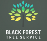 Black Forest Tree Service