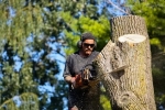 Blacktown Tree Service