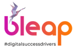 BLeap digital marketing consultant in Bangalore
