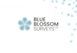 Blue Blossom Surveys Ltd