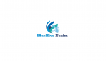 BlueHive Nexim