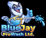 Blue Jay Pro Wash