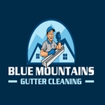 Blue Mountains Gutter Cleaning Services